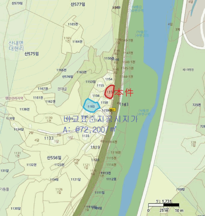 경북 경주시 산내면 대지 경매 물건 사진 2 · 2025타경10796