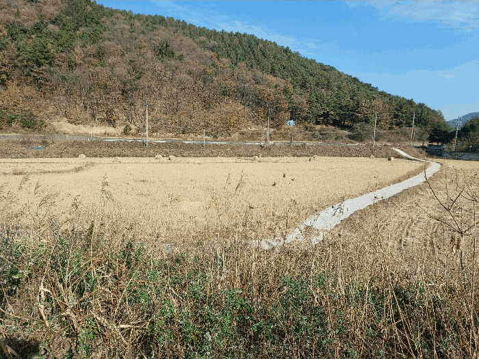 경북 경주시 효현동 답 경매 물건 사진 5 · 2025타경10798