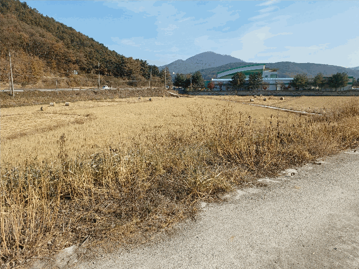 경북 경주시 효현동 답 경매 물건 사진 6 · 2025타경10798