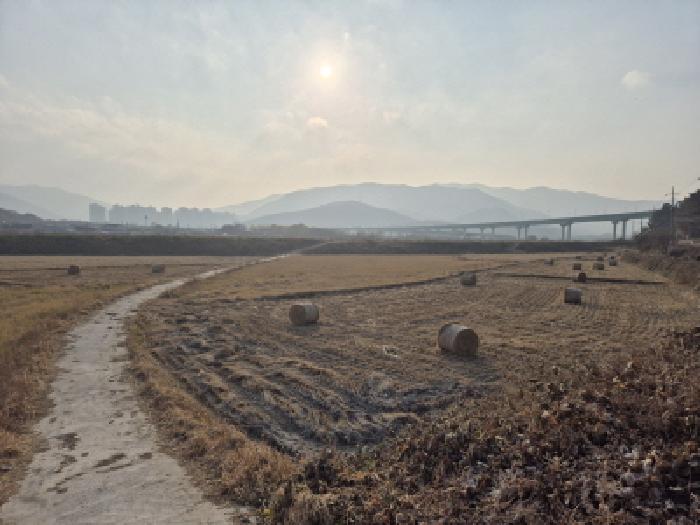 경북 경주시 효현동 답 경매 물건 사진