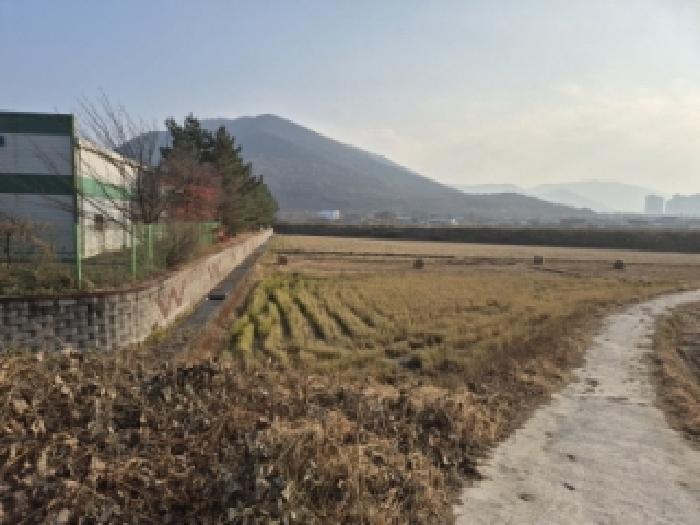 경북 경주시 효현동 답 경매 물건 사진