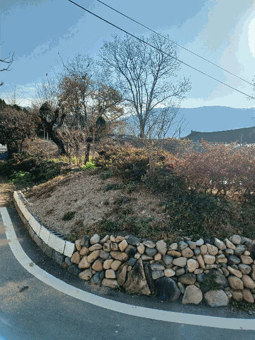 경북 경주시 산내면 대지 경매 물건 사진 6 · 2025타경10803