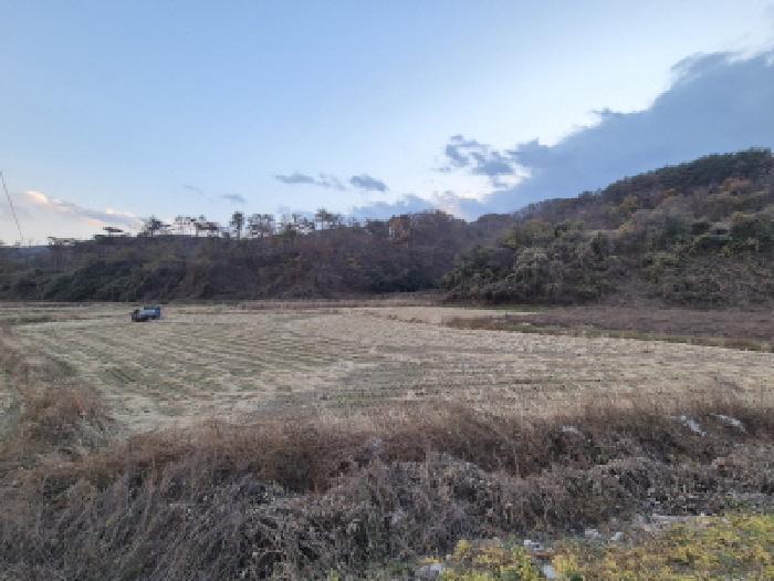 경북 경주시 문무대왕면 전답 경매 물건 사진 4 · 2025타경10815