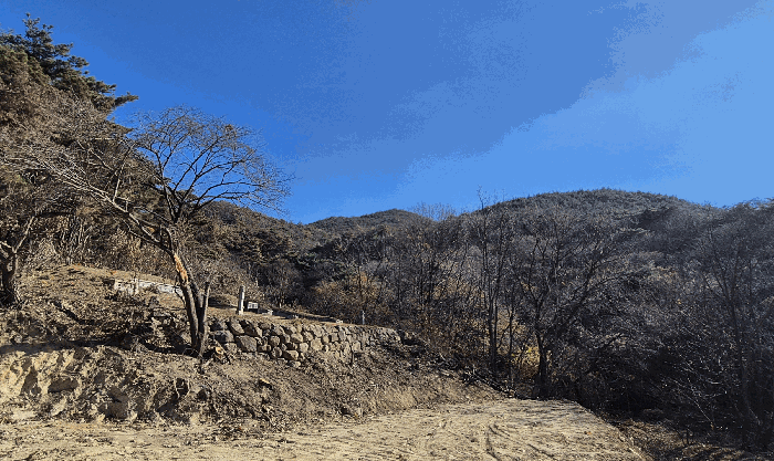경북 경주시 천북면 임야 경매 물건 사진 5 · 2025타경10820