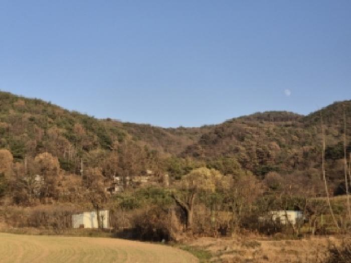 경북 경주시 천북면 임야 경매 물건 사진