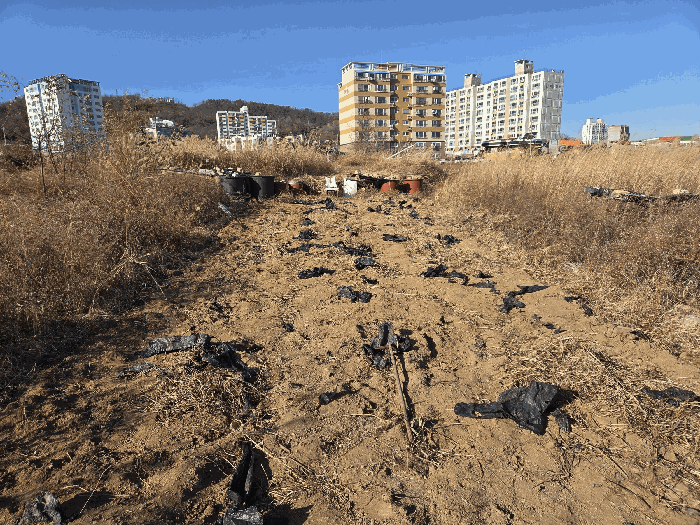 경북 경주시 감포읍 전 경매 물건 사진 5 · 2025타경10833