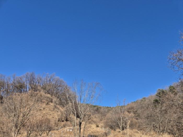 경북 경주시 양남면 답 경매 물건 사진 3 · 2025타경10844