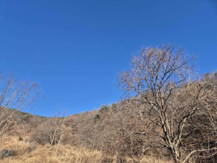 경북 경주시 양남면 답 경매 물건 사진 4 · 2025타경10844