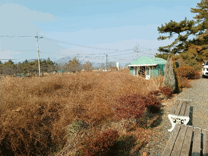 경북 경주시 배동 전답 경매 물건 사진 6 · 2025타경10845