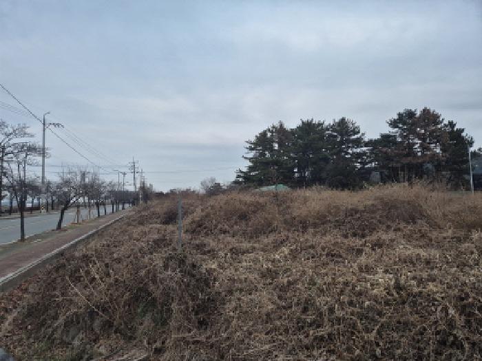 경북 경주시 배동 전답 경매 물건 사진