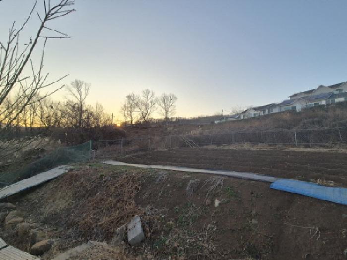 경북 경주시 감포읍 전답 경매 물건 사진