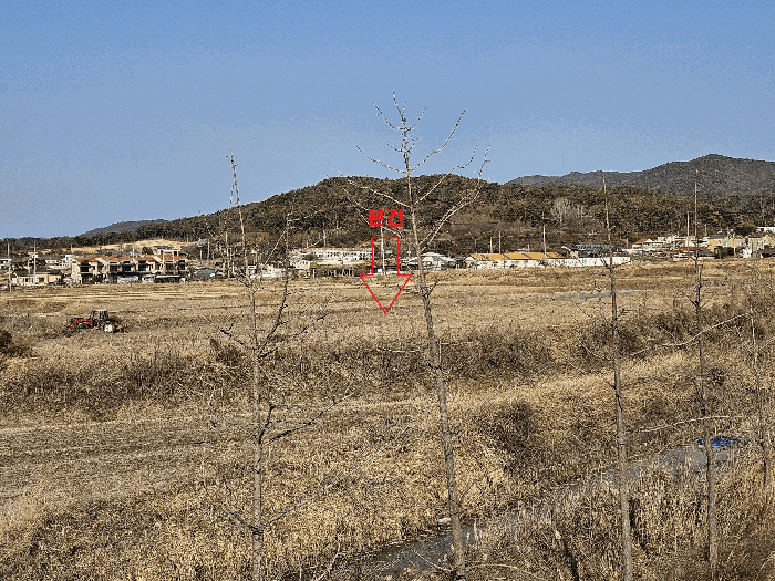 경북 경주시 천북면 전 경매 물건 사진 2 · 2025타경10860