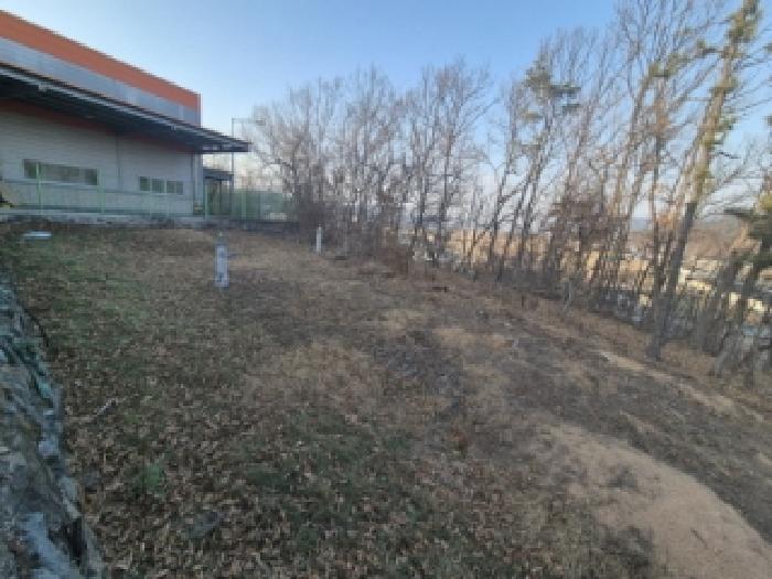 경북 경주시 내남면 전 경매 물건 사진
