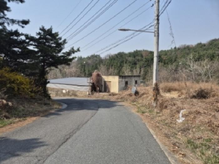 경북 경주시 건천읍 답 경매 물건 사진 4 · 2025타경352