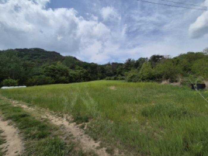 경북 경주시 외동읍 전 경매 물건 사진