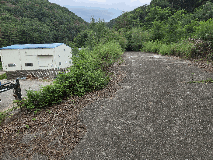경상북도 경주시 천북면 신당리 산99-1 대지 경매 물건 사진