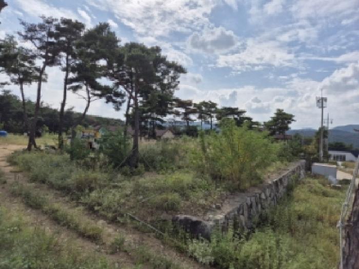 경북 경주시 천북면 임야 경매 물건 사진
