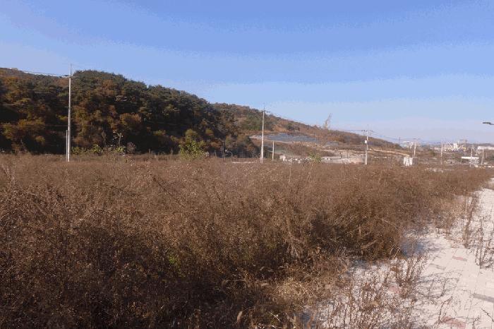 경북 경주시 천군동 전 경매 물건 사진 5 · 2025타경543