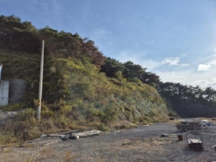 경북 경주시 현곡면 임야 경매 물건 사진