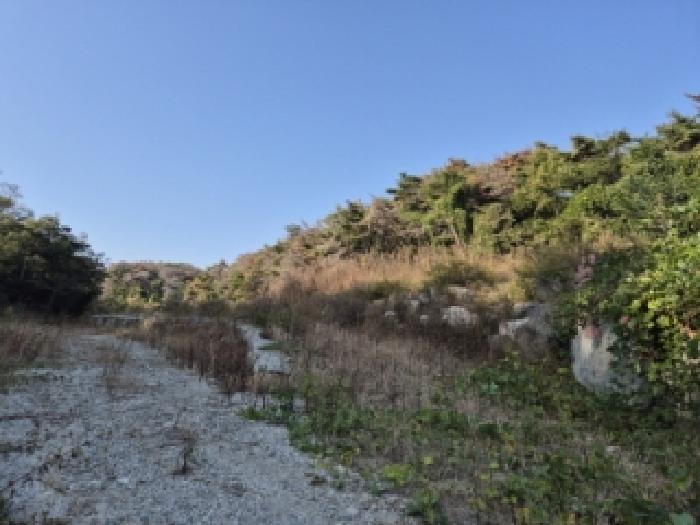 경북 경주시 양남면 전답 경매 물건 사진
