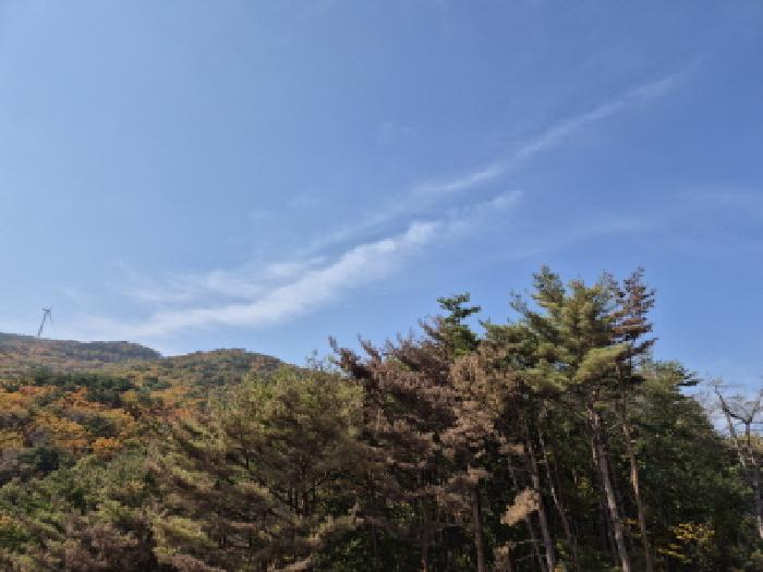 경북 경주시 양남면 임야 경매 물건 사진 2 · 2025타경560