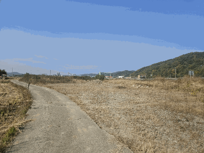 경북 경주시 건천읍 답 경매 물건 사진 6 · 2025타경577