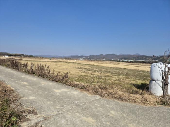 경북 경주시 건천읍 답 경매 물건 사진