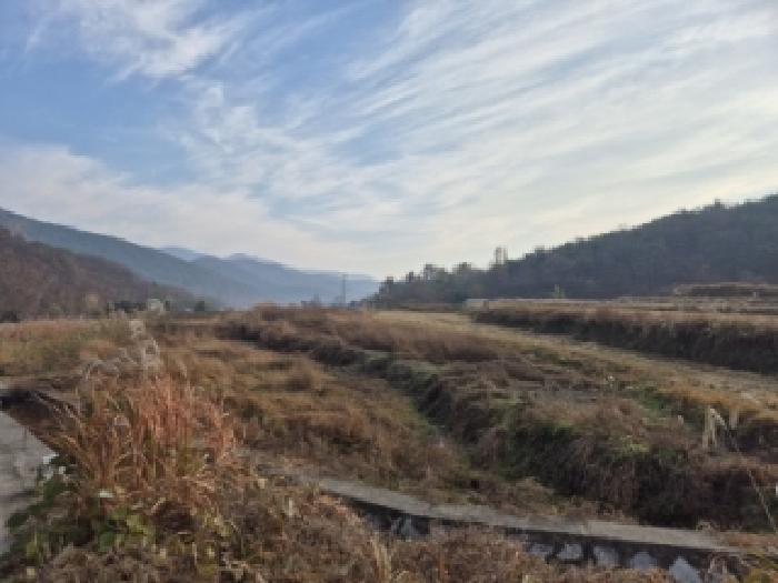경북 경주시 현곡면 전답 경매 물건 사진