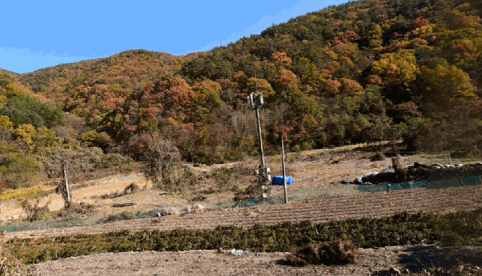 경북 경주시 산내면 답 경매 물건 사진 6 · 2025타경598