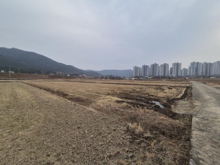 경북 경주시 건천읍 전답 경매 물건 사진
