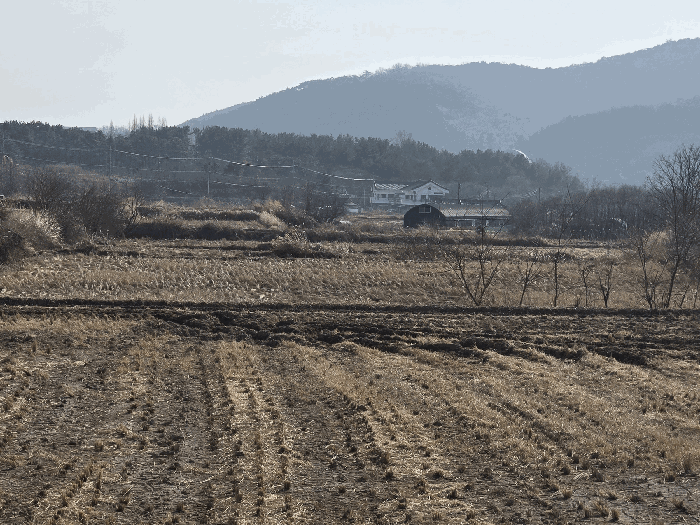 경북 경주시 북군동 답 경매 물건 사진 4 · 2025타경613