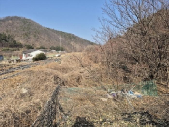 경북 경주시 서면 전 경매 물건 사진