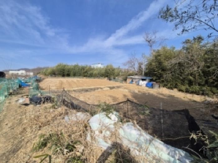 경북 경주시 감포읍 전답 경매 물건 사진