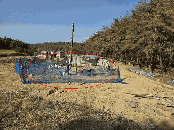 경북 경주시 천북면 임야 경매 물건 사진 5 · 2026타경10052
