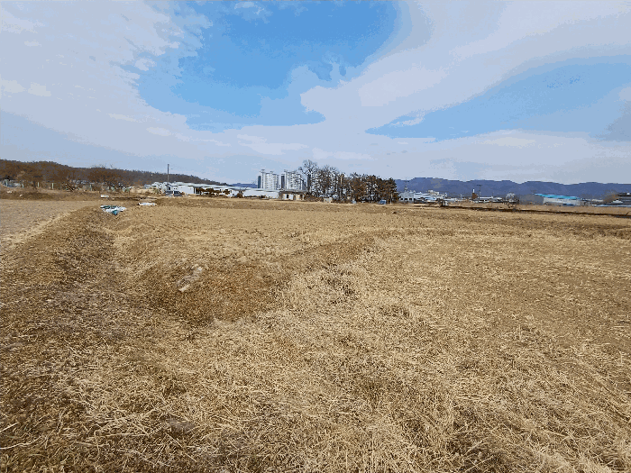 경북 경주시 천북면 대지,임야,전답 경매 물건 사진 5 · 2026타경10053