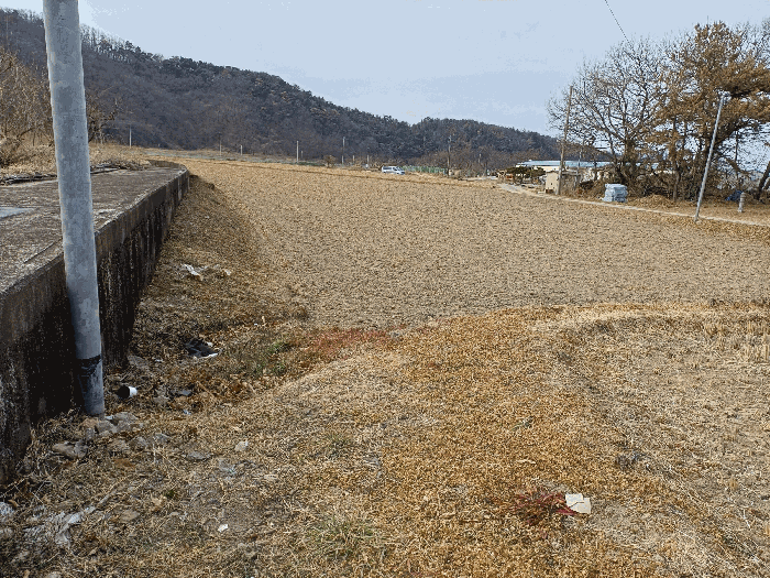 경북 경주시 천북면 대지,임야,전답 경매 물건 사진 6 · 2026타경10053