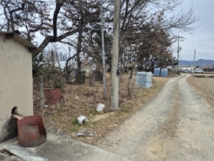 경북 경주시 천북면 대지,임야,전답 경매 물건 사진