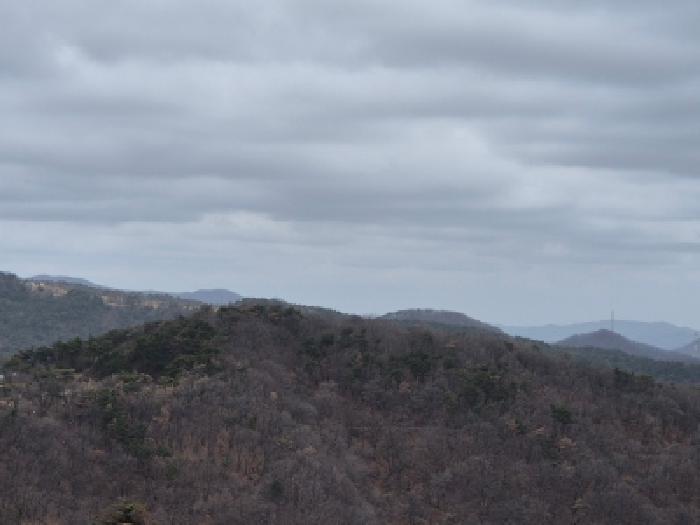 경북 경주시 양남면 답 경매 물건 사진
