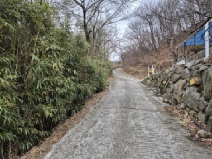 경북 경주시 양남면 임야 경매 물건 사진