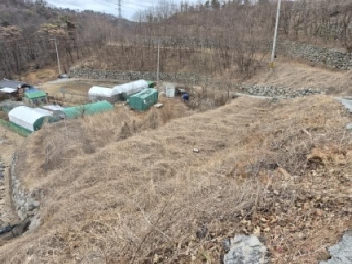 경북 경주시 양남면 임야 경매 물건 사진 2 · 2026타경10084