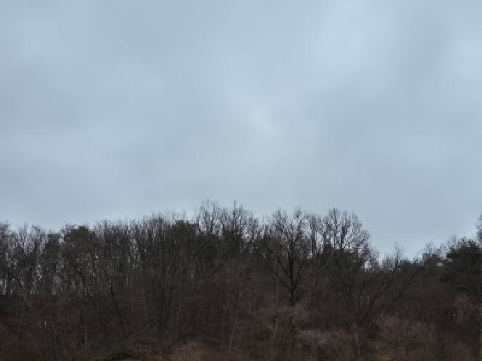 경북 경주시 양남면 임야 경매 물건 사진 3 · 2026타경10084