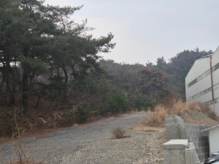 경북 경주시 천북면 임야 경매 물건 사진