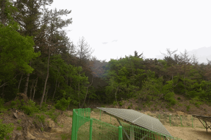 경북 경주시 천북면 임야 경매 물건 사진 2 · 2026타경10121