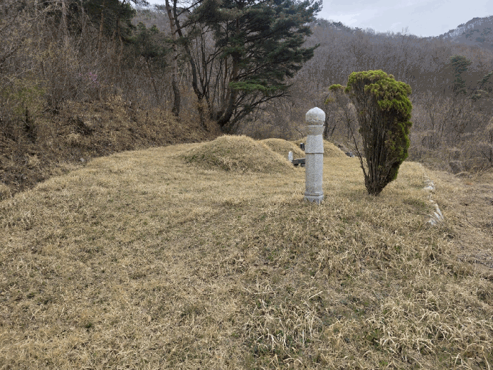 경북 경주시 산내면 전답 경매 물건 사진 6 · 2026타경10135
