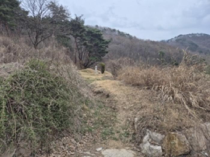 경북 경주시 산내면 전답 경매 물건 사진