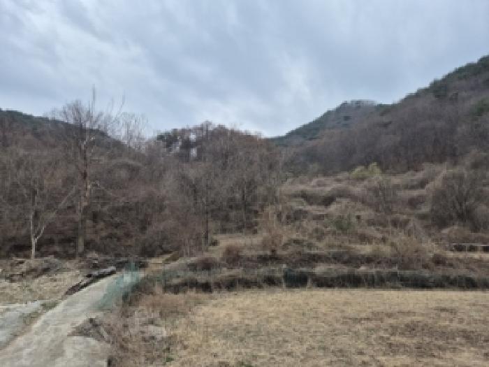 경북 경주시 산내면 전답 경매 물건 사진 3 · 2026타경10135