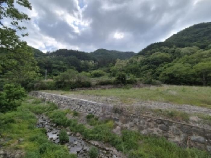 경북 경주시 건천읍 전답 경매 물건 사진