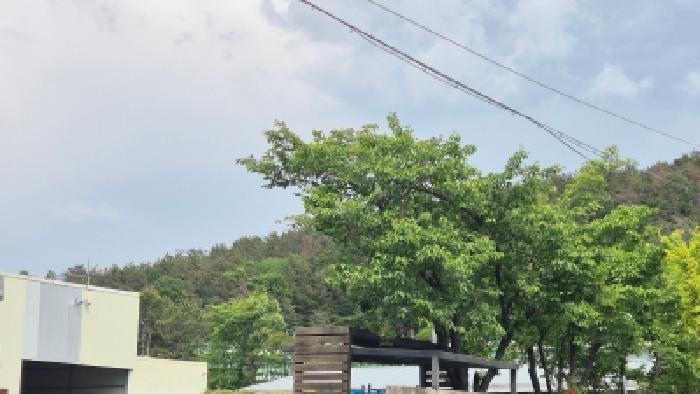 경북 경주시 내남면 임야 경매 물건 사진 2 · 2026타경10209