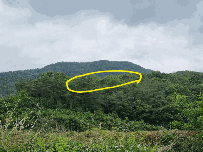 경북 경주시 내남면 임야 경매 물건 사진 4 · 2026타경10209