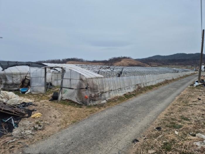 경북 경주시 안강읍 단독주택 경매 물건 사진
